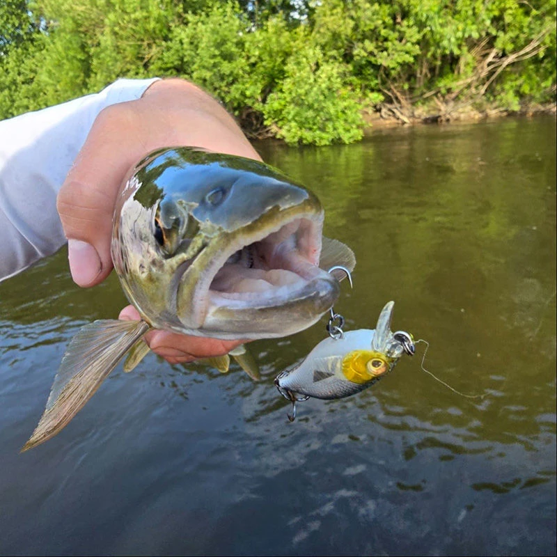 Westin Buzzbite Crankbaits 5cm/6g